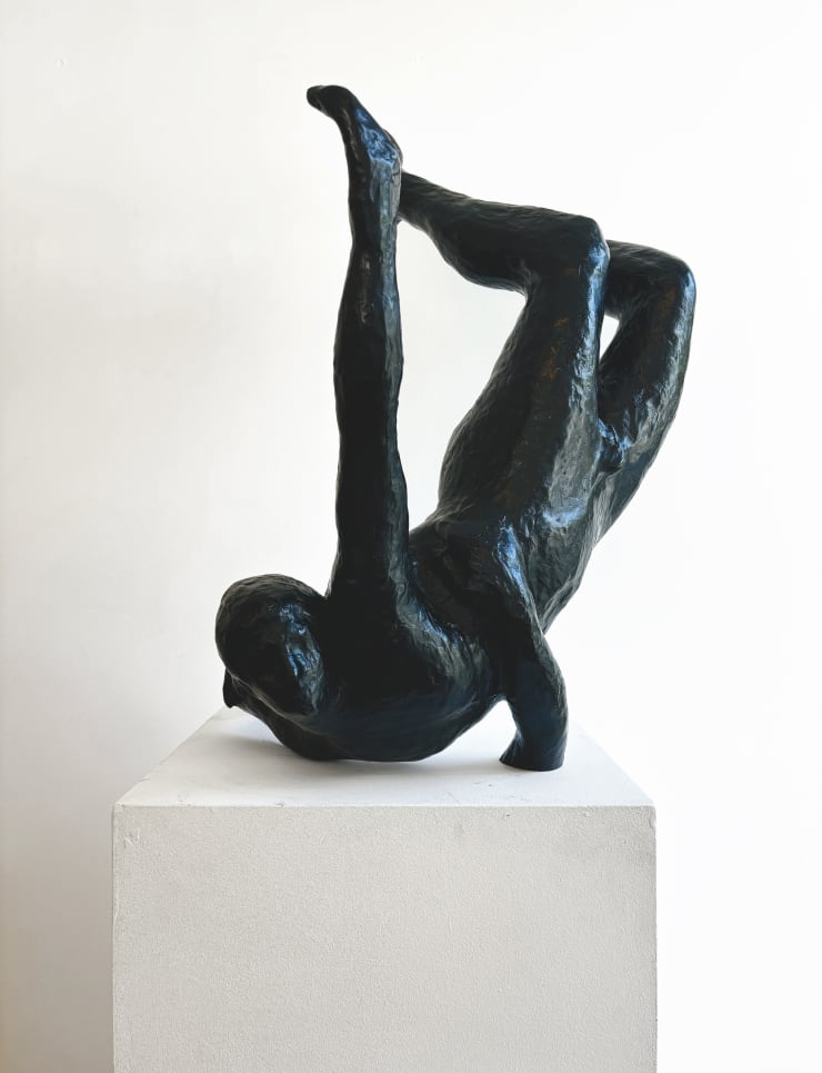 A Complete Disavowal Sophia Whitney Hewson