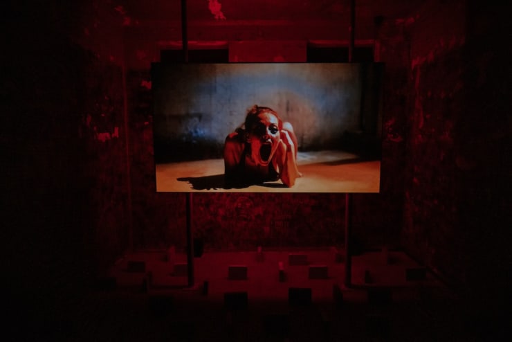 Brie Trenerry, Trip Code V.A.L.I.S 2024 HD AI Generated Video, polystyrene, paint Runway ML Gen 3 Alpha/Turbo