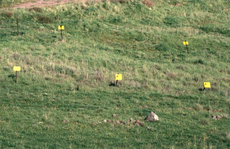 Golan Heights, ISRAEL, 1994 BAM1994016K021(W02872)