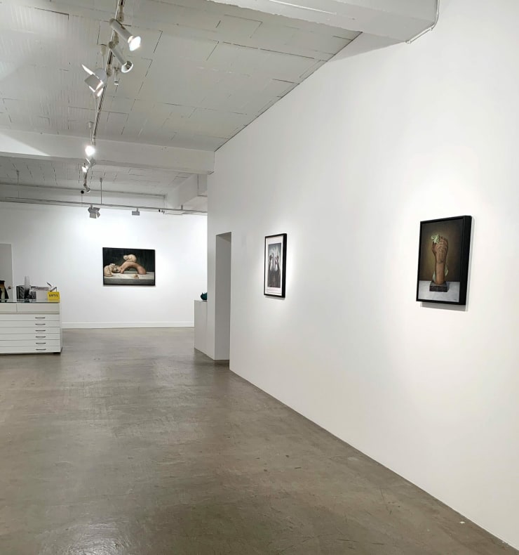 Exhibition in Artis Gallery bu Liam Barr