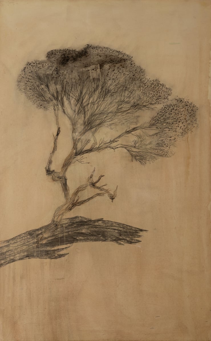 Aroha Gossage Rākau, 2025 Earth pigment, charcoal and graphite on board 120 x 75 cm