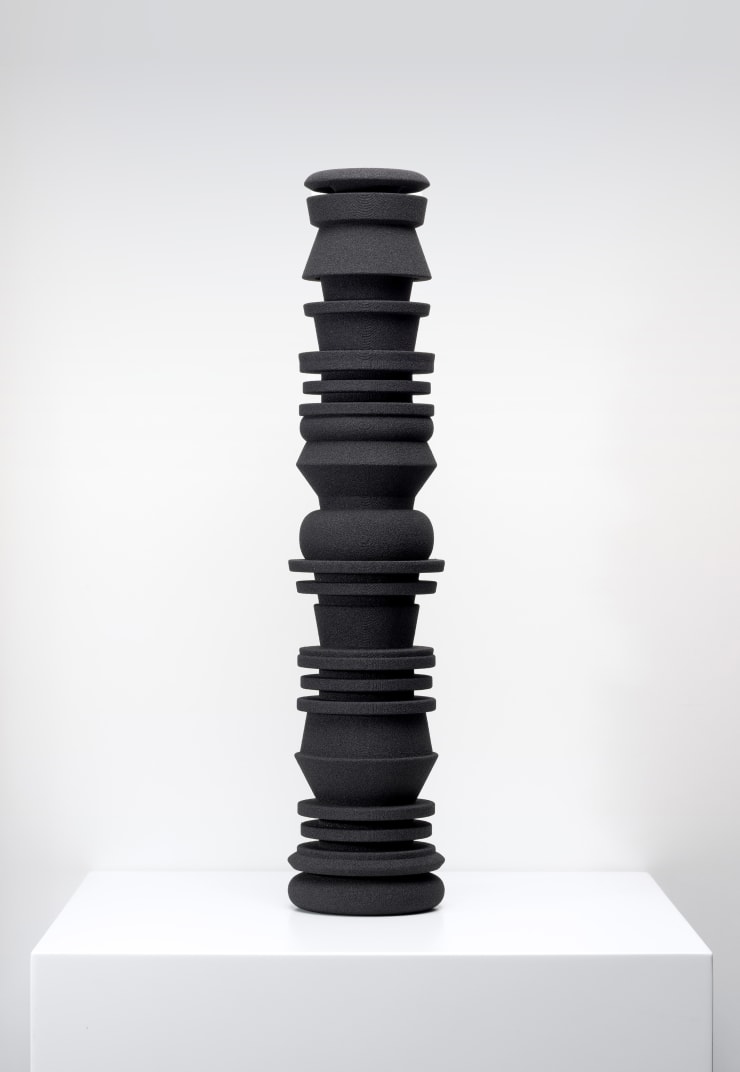 Anton Hart, Gallery of Leaves, 2025