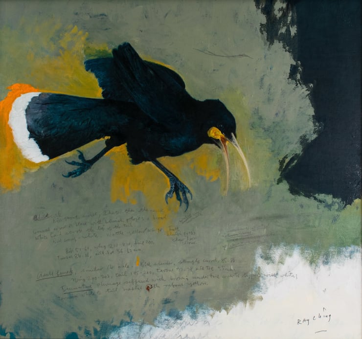 Ray Ching Huia Study, Female, 2023 Oils on panel 55 x 59.5 cm