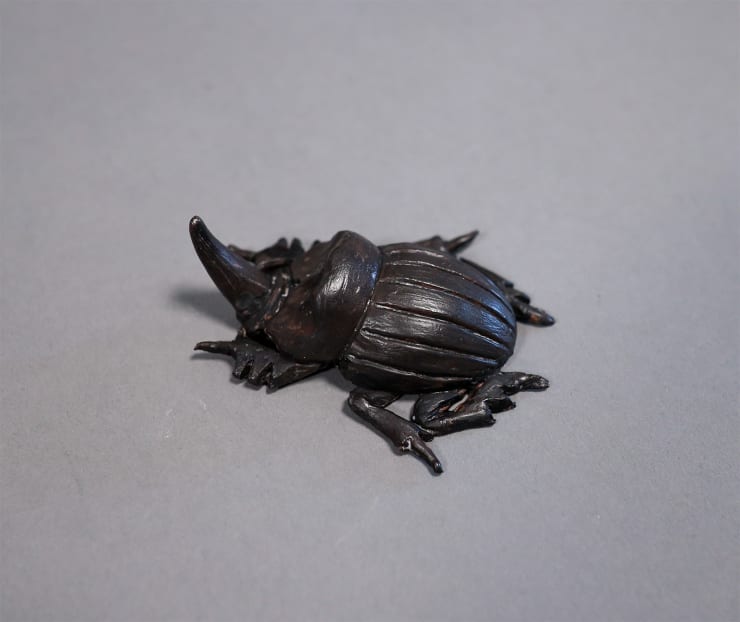 Samantha Lissette, Horn Beetle, 2022