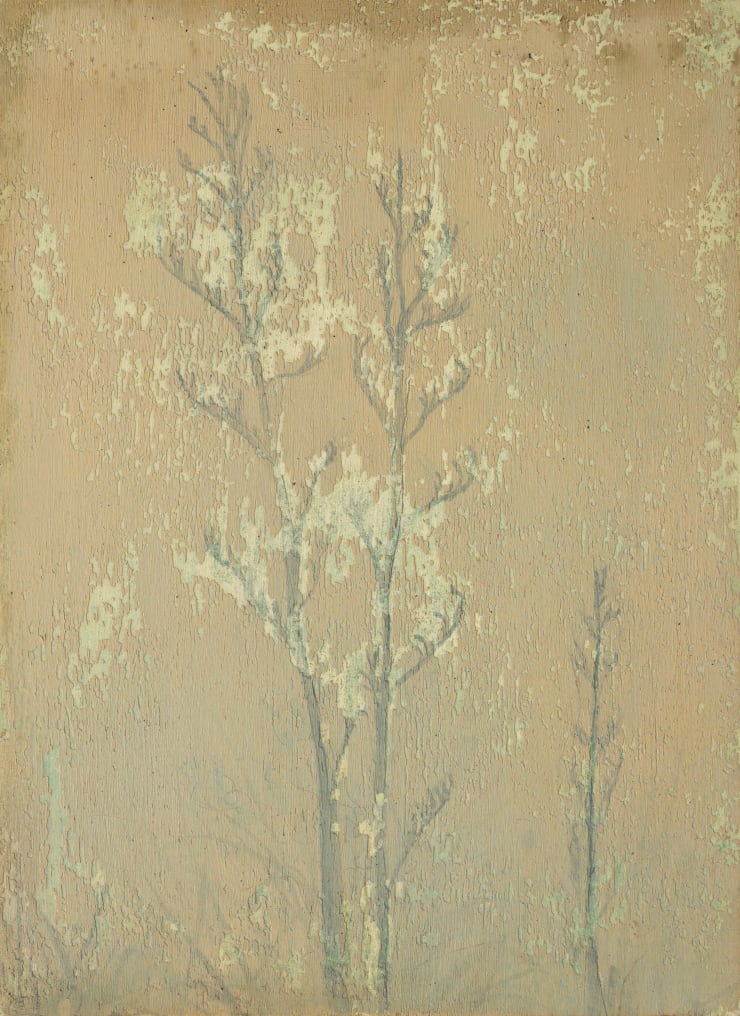Aroha Gossage, Memories, 2025