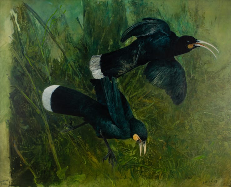 Ray Ching Huia Pair, 2020 Oils on board 60 x 75 cm