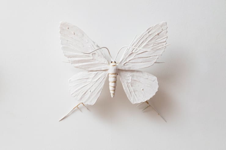 Elizabeth Thomson From the Black & Whites Cast bronze, Patina, Casein & Flasche Courtesy of Two Rooms 19.5cm wingspan