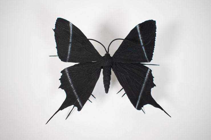 Elizabeth Thomson From the Black & Whites Cast bronze, Patina, Casein & Flasche Courtesy of Two Rooms 19.5cm wingspan