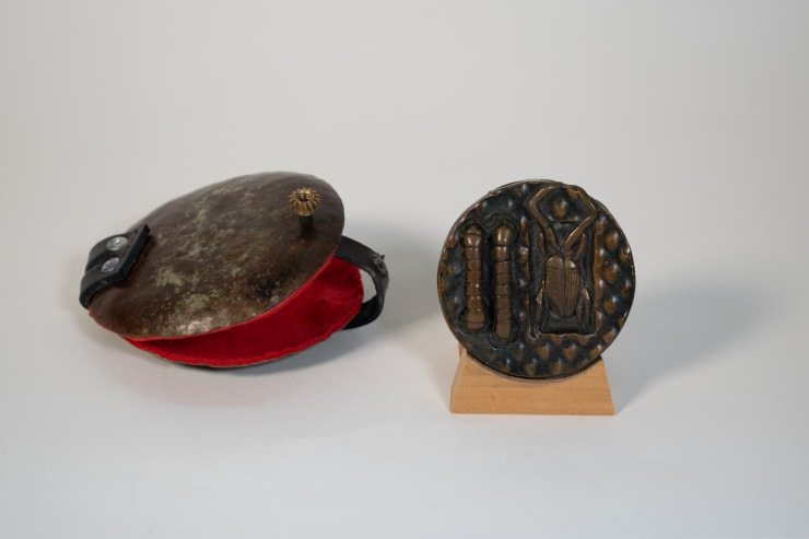 Bill Hayes Beetle / Larva Bronze Medallion 7 cm diameter, case 10 cm diameter