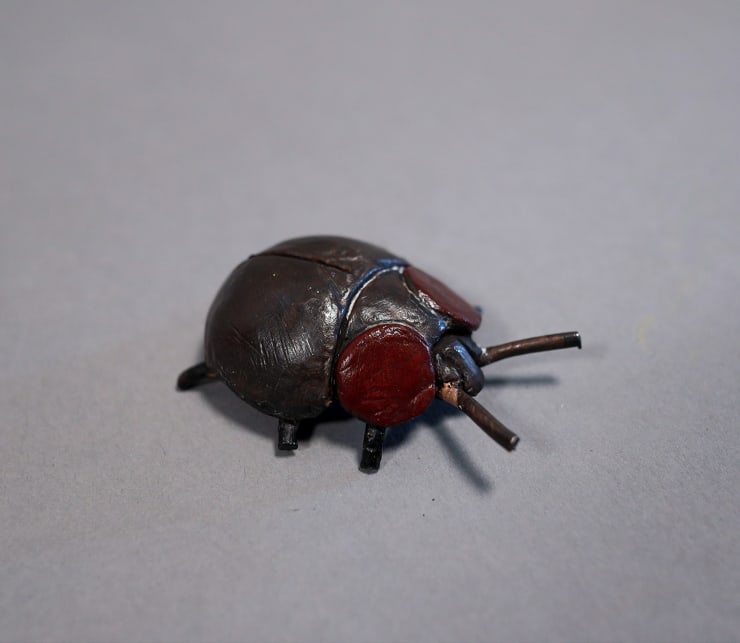 Samantha Lissette, Beetle, 2022