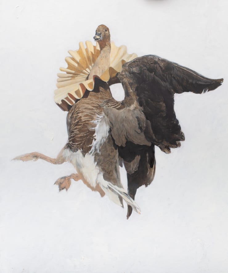 Ray Ching, The Goose in a Ruff at Sea, 2020