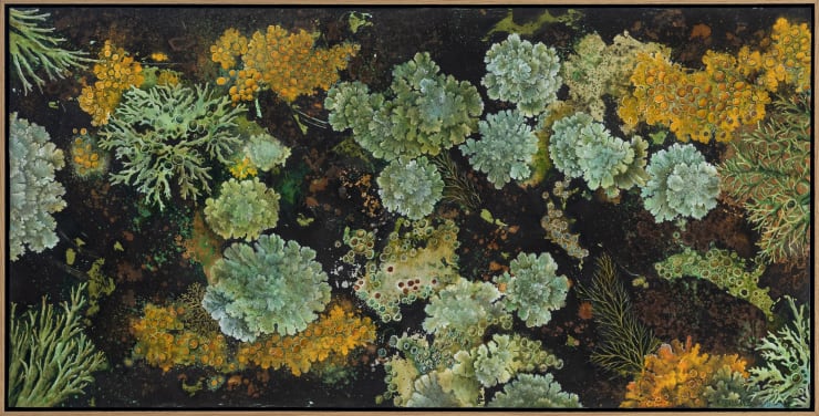 Nicky Foreman Lichen II, 2025 Oil & mixed media on board 42 x 82 cm (framed) 40 x 80 cm (unframed)