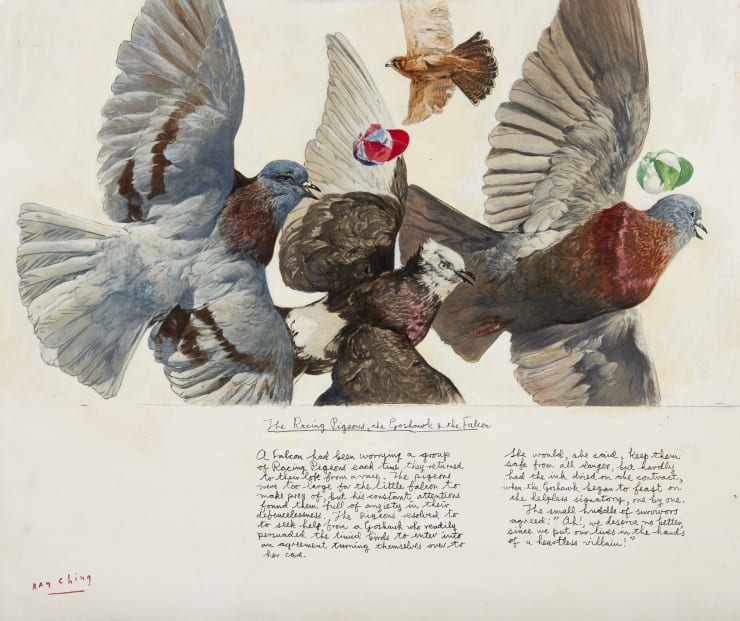 Ray Ching, The Racing Pigeons, the Goshawk & the Falcon p. 76 - 77 , 2017