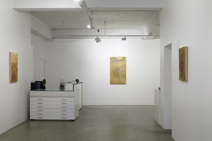 Aroha Gossage 2020 Exhibition install