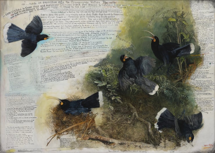 The Huia & our Tears