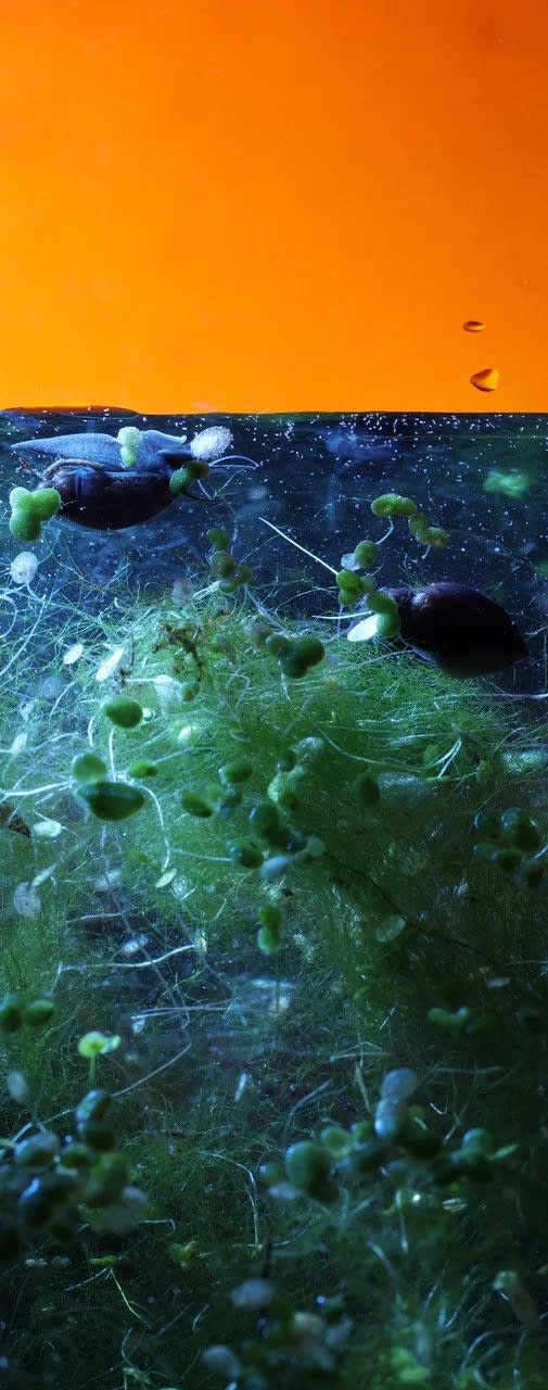 Alice Pallot / FotoWien 2025