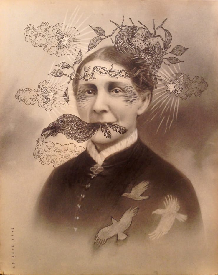 Karrie Arthurs, Tell Me A Story About A Bird With Black Feathers