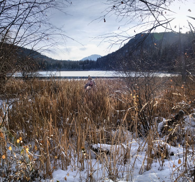 Rocio Graham, Illuminations and Engulfment, Book VI, 2021