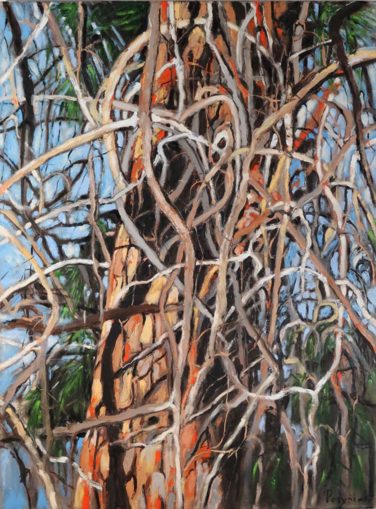 Teresa Posyniak, Tangled