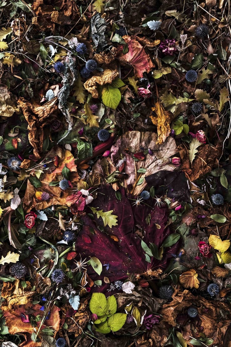 Rocio Graham, When I Think of Home #8, 2021