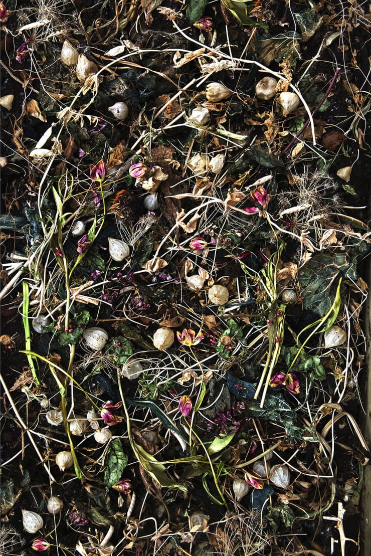 Rocio Graham, When I Think of Home #5, 2021