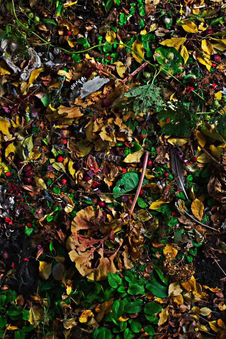 Rocio Graham, When I Think of Home #1, 2021