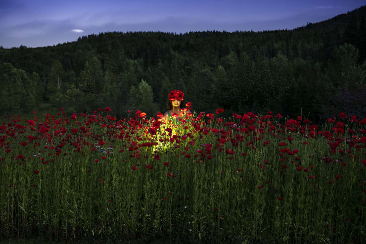 Rocio Graham, Illuminations and Engulfment, Book IV , 2021