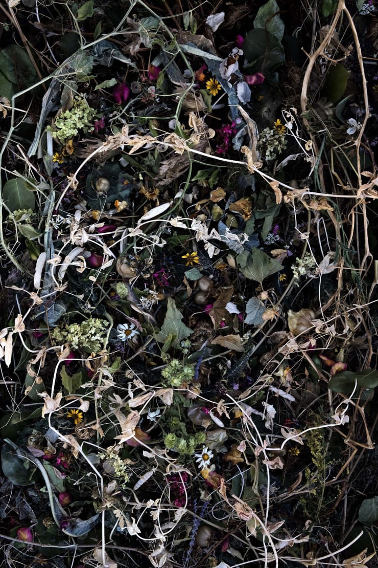 Rocio Graham, When I Think of Home #12, 2021