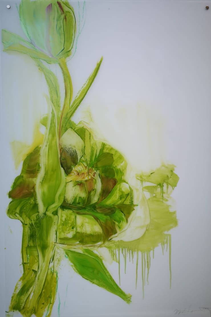 Madeleine Lamont, Parrot Tulip 44, 2023