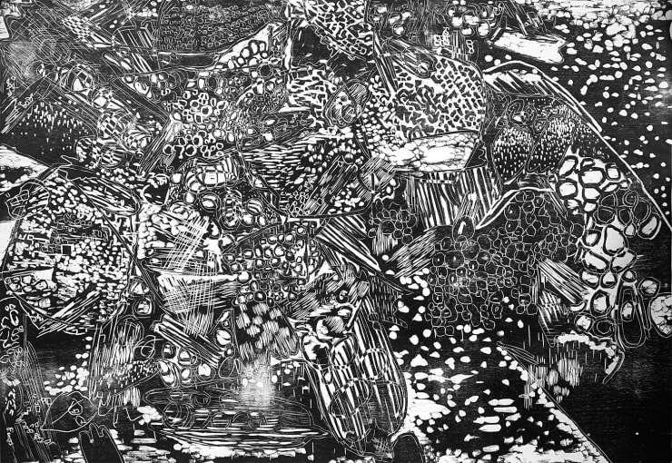 Lisa Matthias, Reticulate