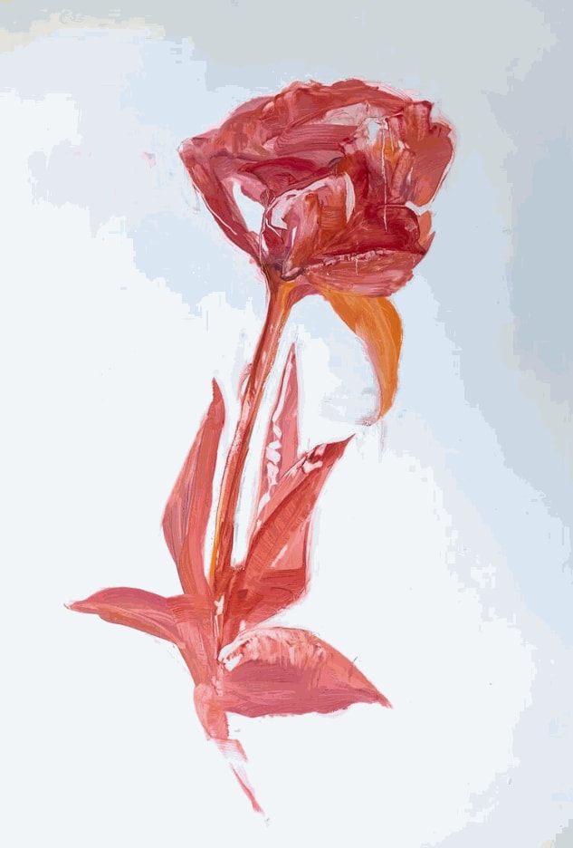 Madeleine Lamont, Will See You End of May