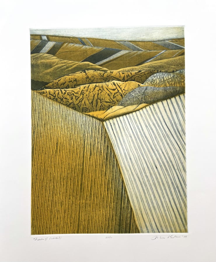 John K Esler, Fields II (State II), 1989