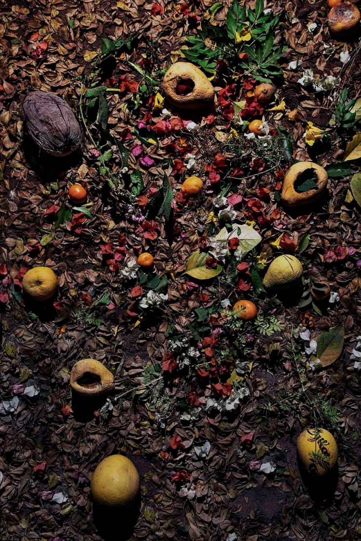 Rocio Graham, When I Think of Home #2, 2021