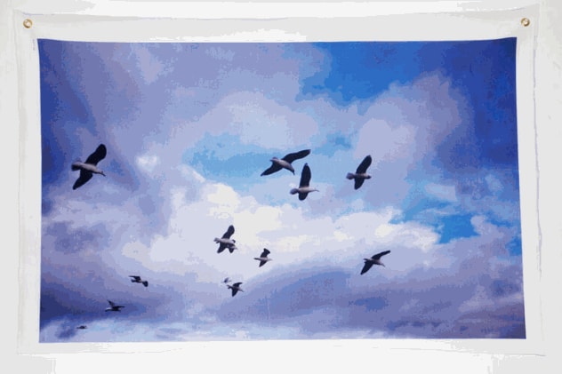 Bryce Krynski - birds of a feather, 2021