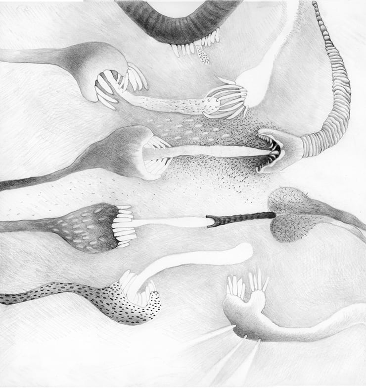 Diana Thorneycroft, Mouth/Tongue Study II