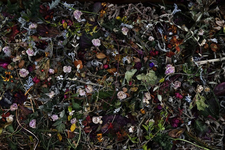 Rocio Graham, When I Think of Home #9 (Lougheed House Portrait), 2021