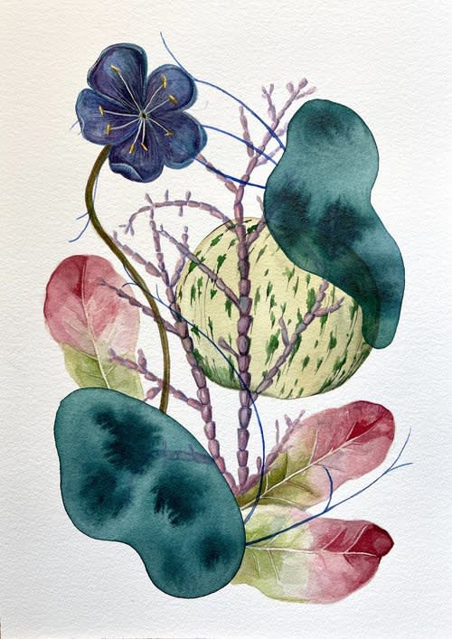 Heather Close, Admiration