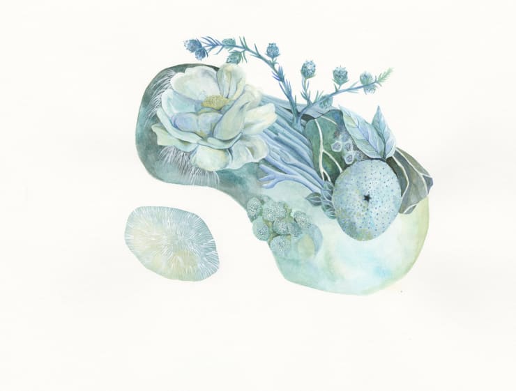 Heather Close, Azureous