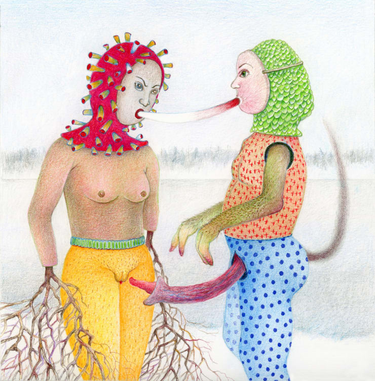 Diana Thorneycroft, Diana Thorneycroft, Tickled Pink