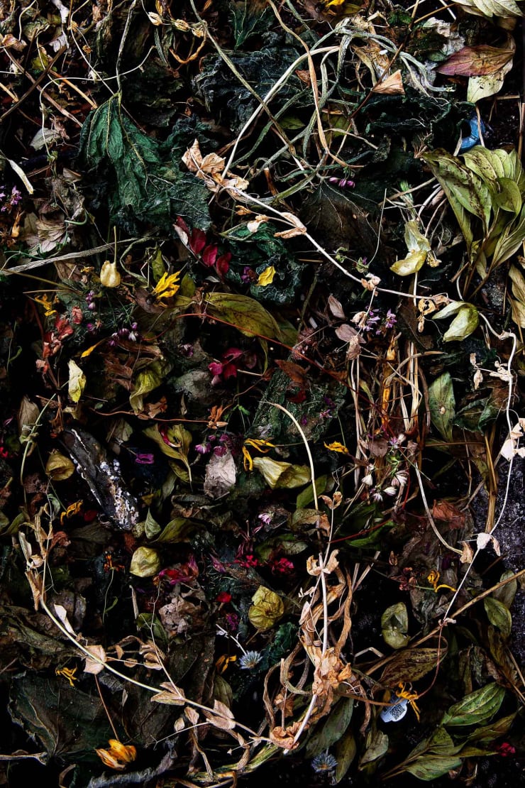 Rocio Graham, When I Think of Home #4, 2021