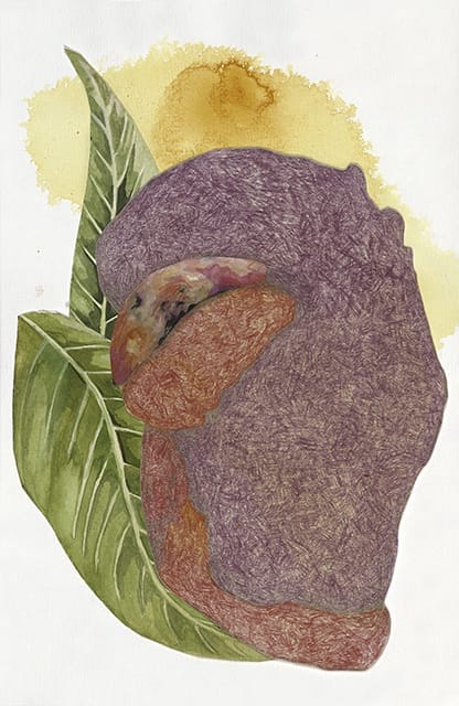 Heather Close, PS I Have So Much To Tell You