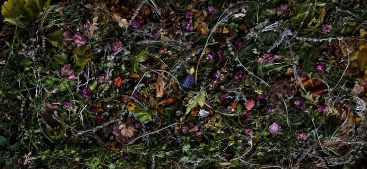 Rocio Graham, When I Think of Home #13, 2021