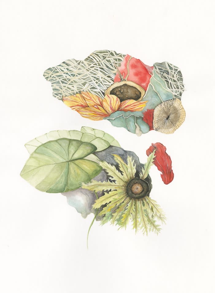 Heather Close, Glimpses Of Unknown