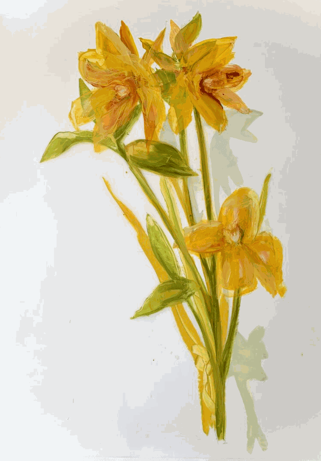 Madeleine Lamont, Daffodils 1
