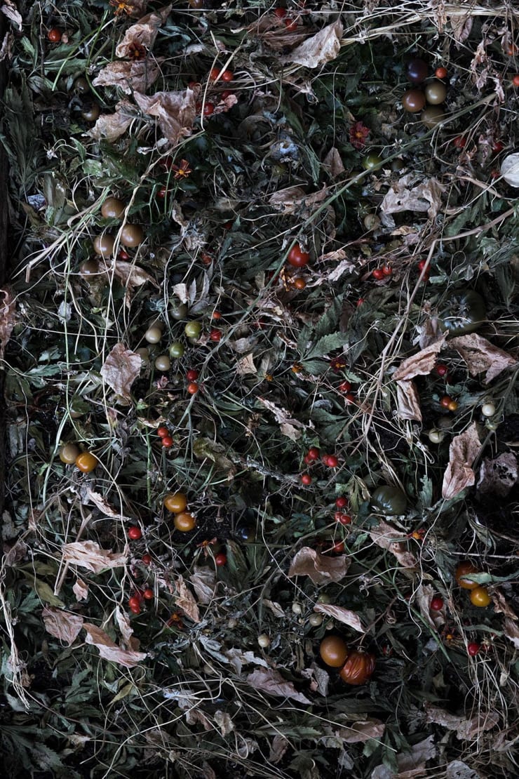 Rocio Graham, When I Think of Home #10, 2021