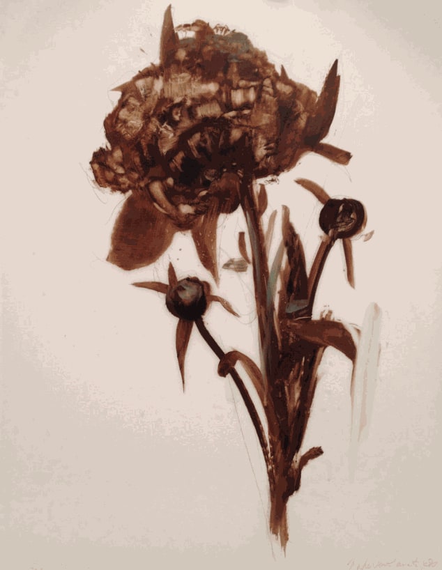 Madeleine Lamont, Coco Peony with Two Buds
