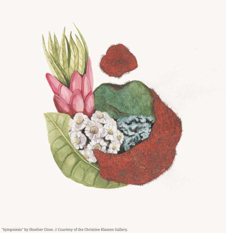 Calgary Artist Heather Close talks joys of painting on paper