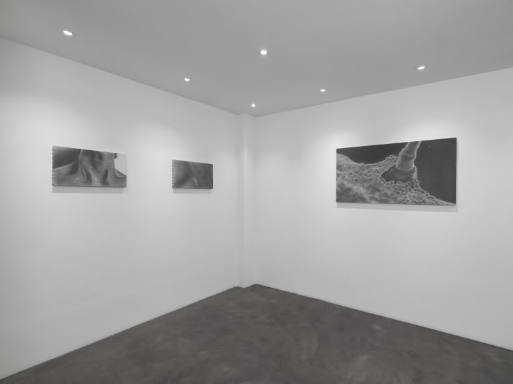 Gmb Installation View Olivares Self Portrait 10