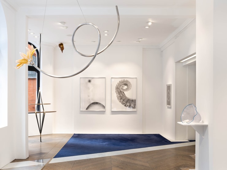 Gmb Installation View Fauna 2021 9