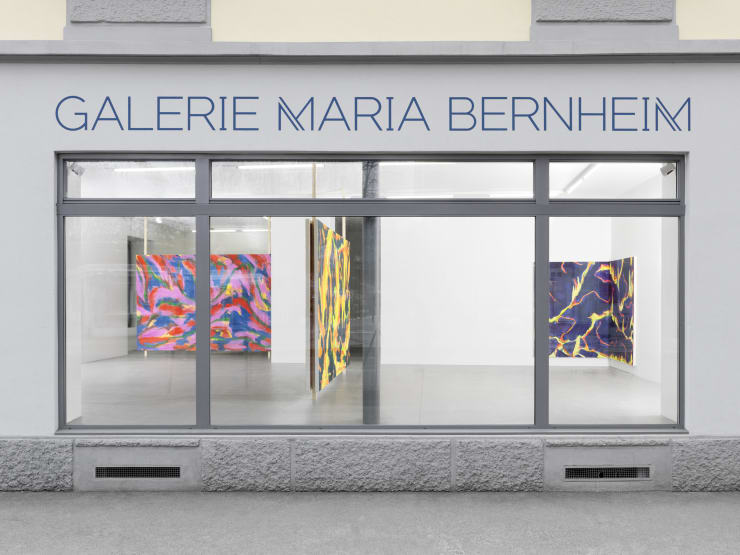 Gmb Sauter January2017 6